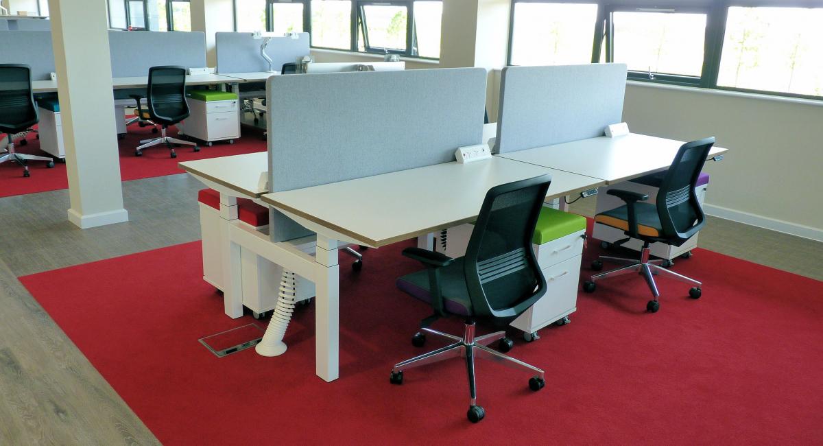 White sit stand desks with desktop privacy screens, under desk pedestals and black mesh back task chairs.